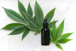 Green cannabis leaves and black glass drops bottle.